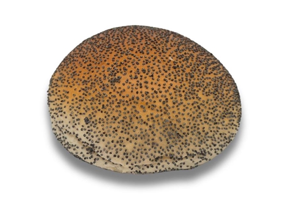 Witte Bollen Maanzaad zacht